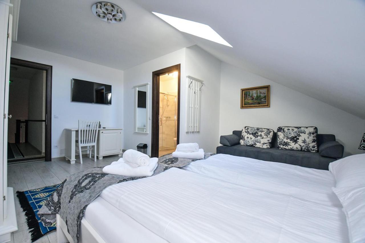 Отель Casa Alexandru - Locul In Care Te Simti Acasa Вишеу-де-Жос Экстерьер фото