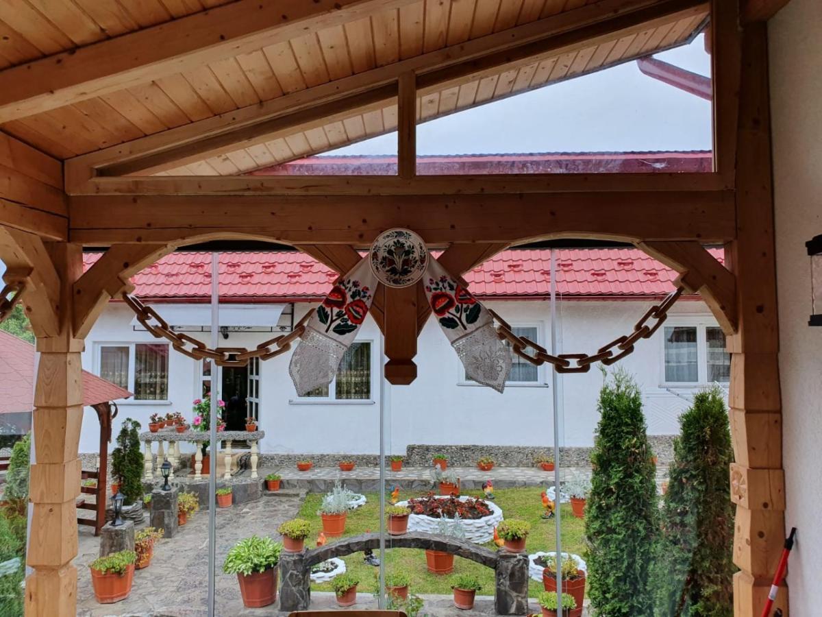 Отель Casa Alexandru - Locul In Care Te Simti Acasa Вишеу-де-Жос Экстерьер фото