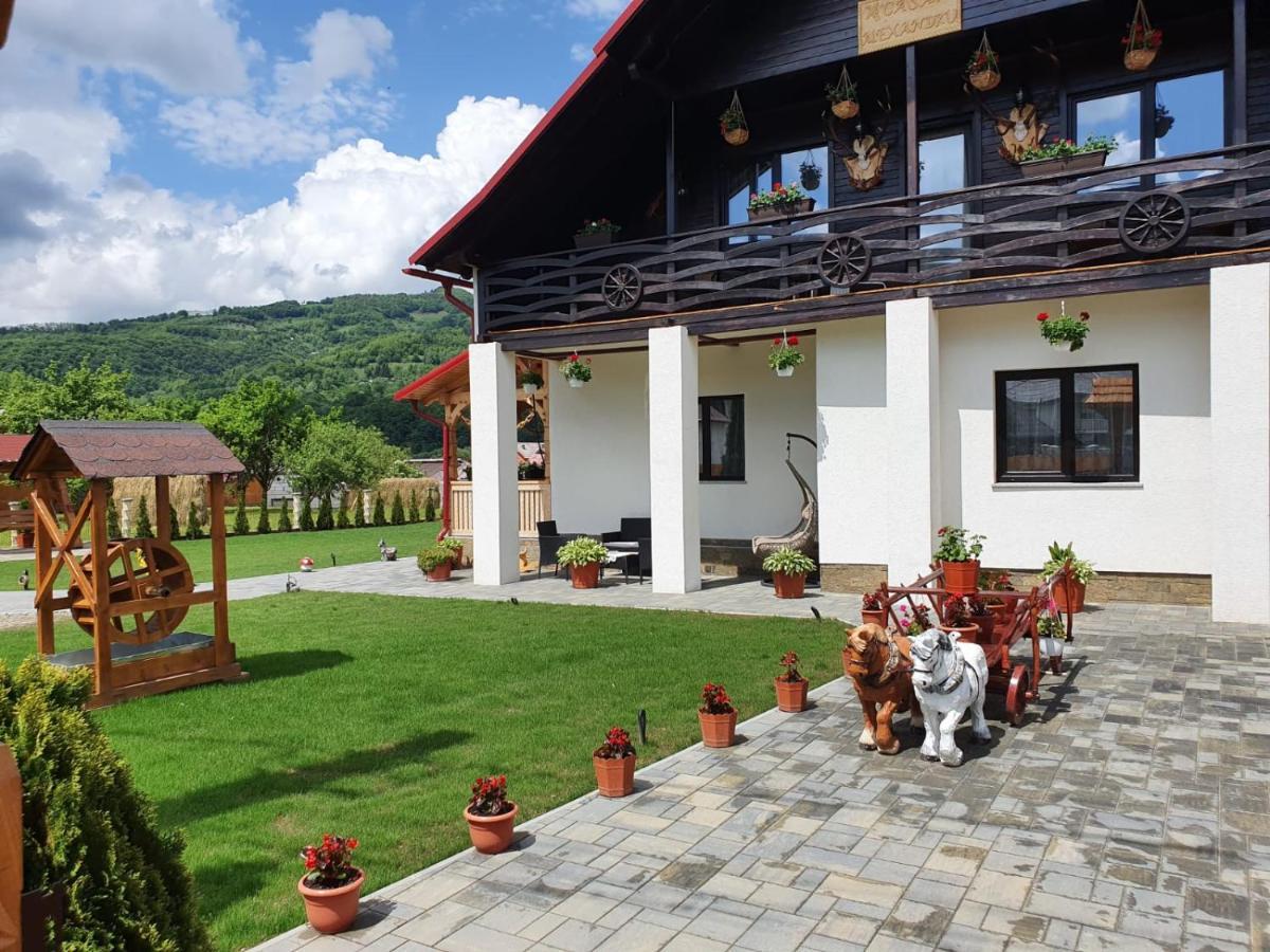 Отель Casa Alexandru - Locul In Care Te Simti Acasa Вишеу-де-Жос Экстерьер фото
