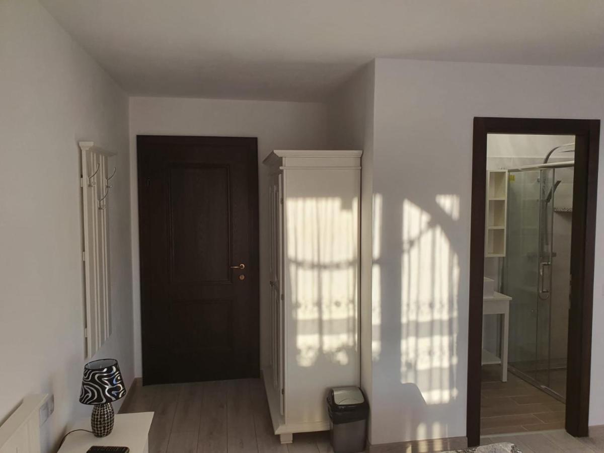 Отель Casa Alexandru - Locul In Care Te Simti Acasa Вишеу-де-Жос Экстерьер фото